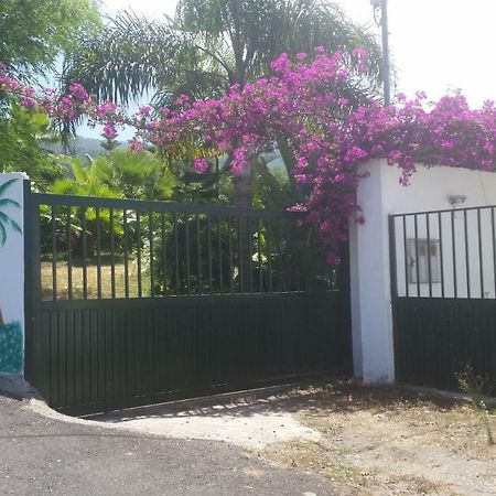 Finca Las Palmeras Icod De Los Vinos Eksteriør bilde