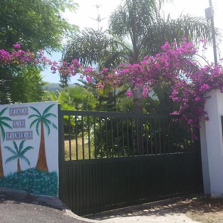 Finca Las Palmeras Icod De Los Vinos Eksteriør bilde