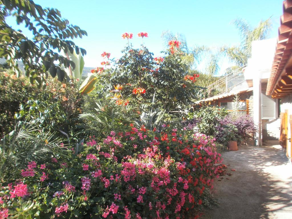Finca Las Palmeras Icod De Los Vinos Rom bilde