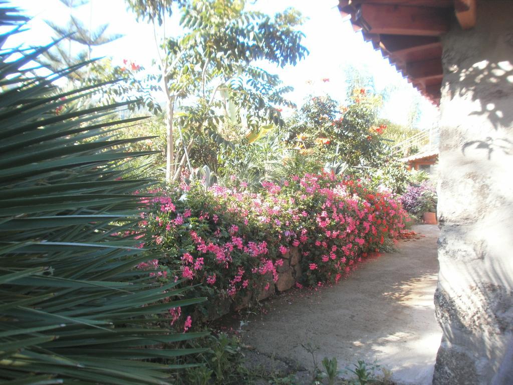Finca Las Palmeras Icod De Los Vinos Eksteriør bilde