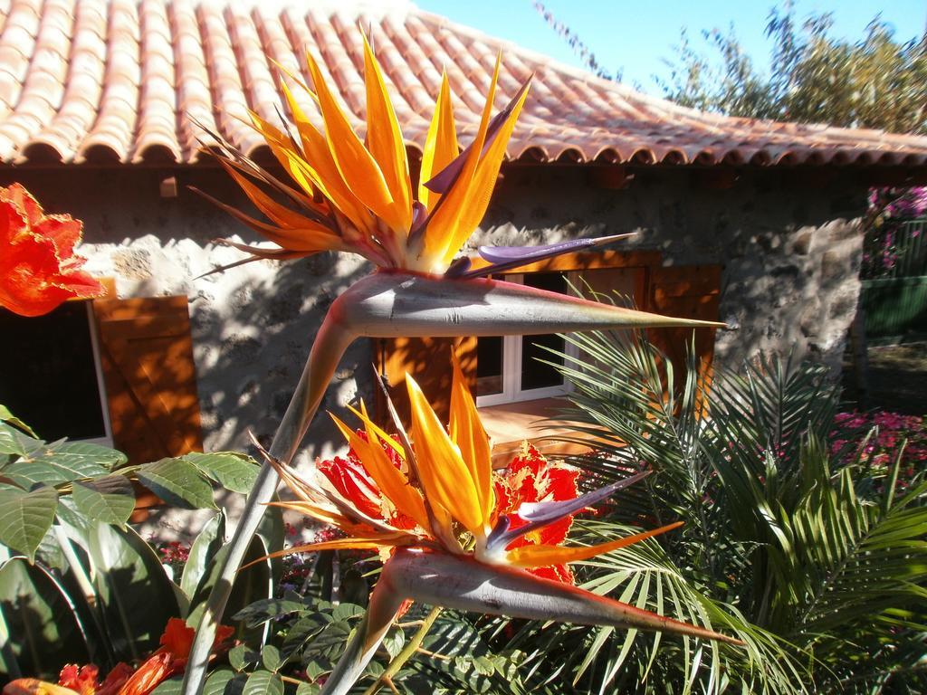 Finca Las Palmeras Icod De Los Vinos Eksteriør bilde