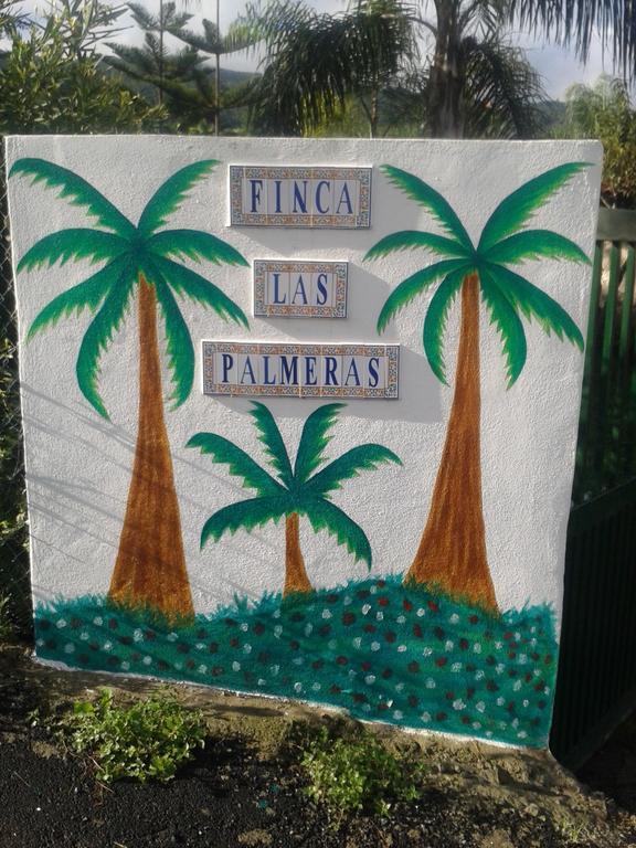 Finca Las Palmeras Icod De Los Vinos Rom bilde