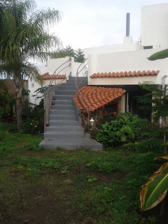 Finca Las Palmeras Icod De Los Vinos Rom bilde