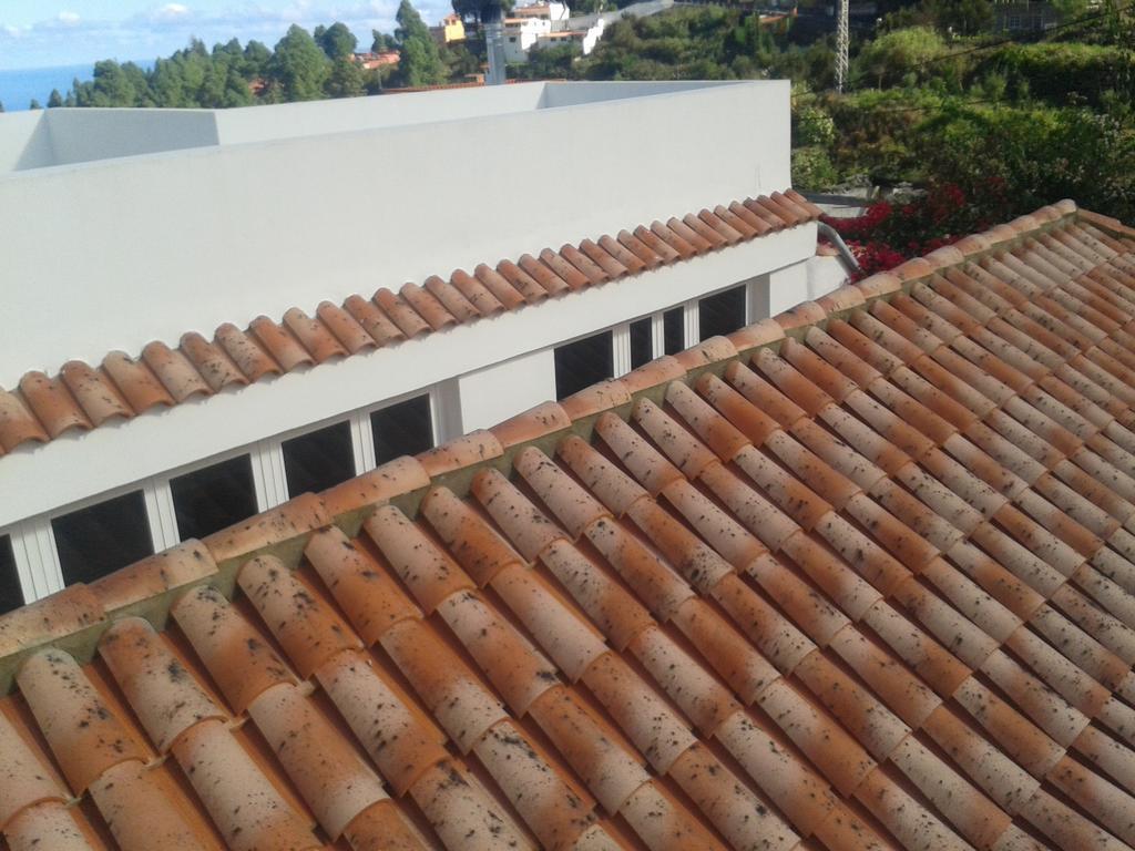 Finca Las Palmeras Icod De Los Vinos Rom bilde