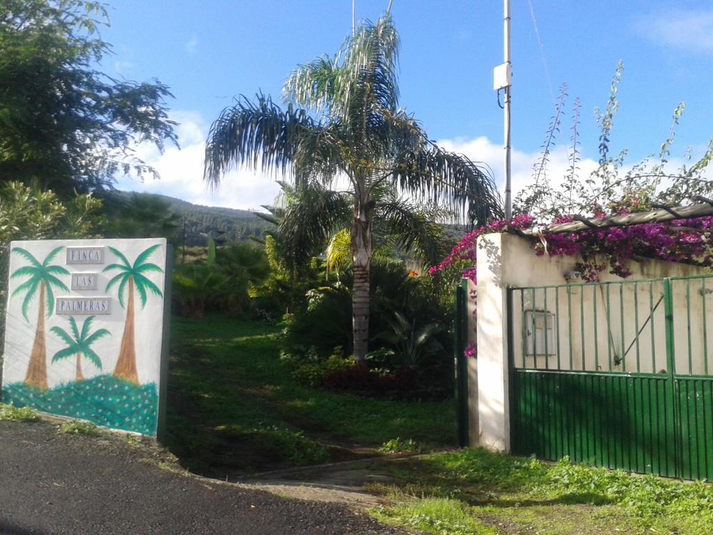 Finca Las Palmeras Icod De Los Vinos Eksteriør bilde