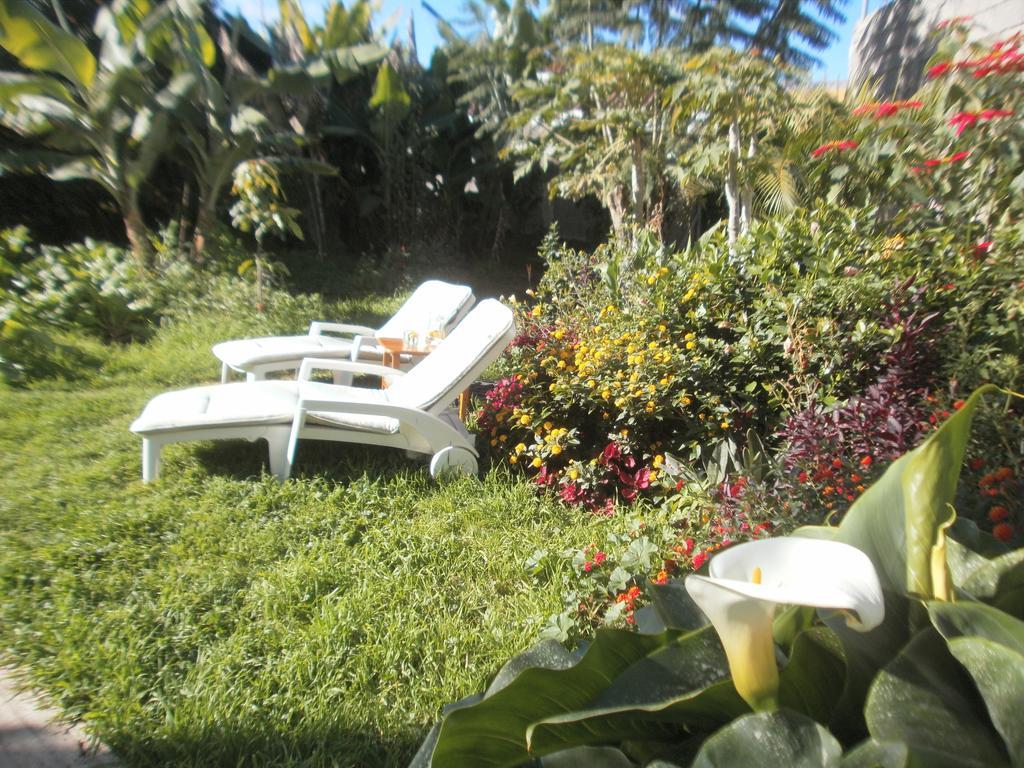 Finca Las Palmeras Icod De Los Vinos Rom bilde