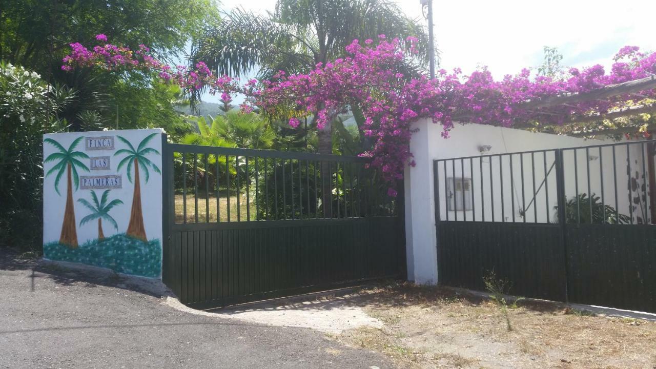 Finca Las Palmeras Icod De Los Vinos Eksteriør bilde