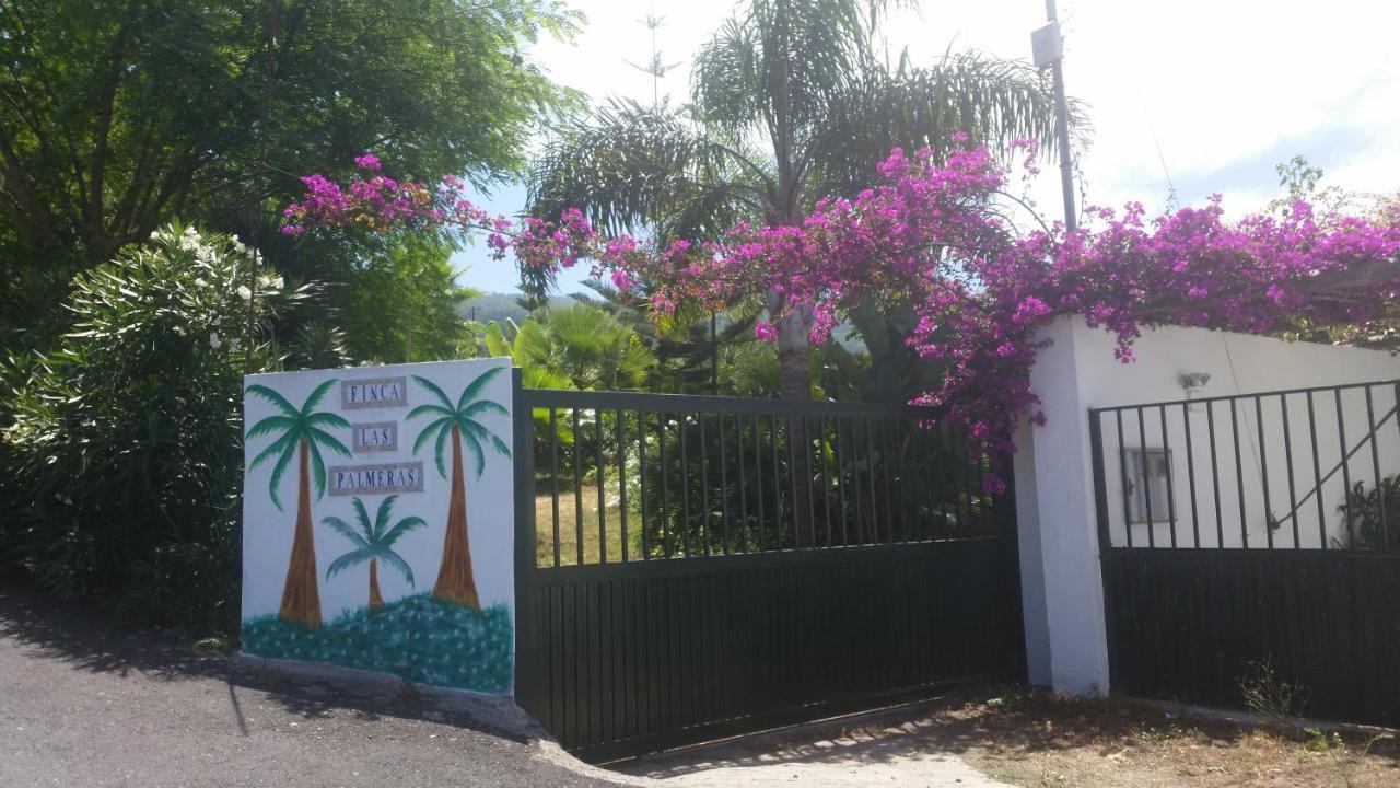 Finca Las Palmeras Icod De Los Vinos Eksteriør bilde